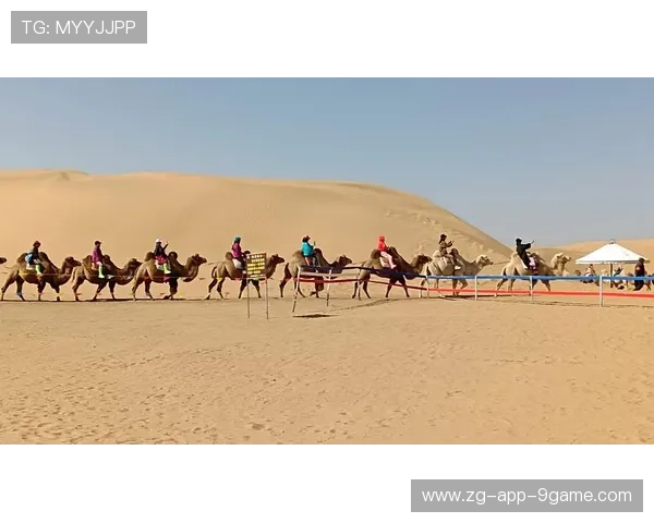 “荒野之战：沙丘与泥泞中的极限追逐”，荒野沙漠