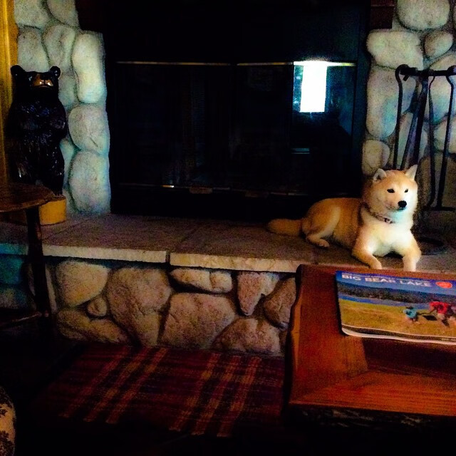 NBA球员竞技状态监测与调控技术，nba竞争