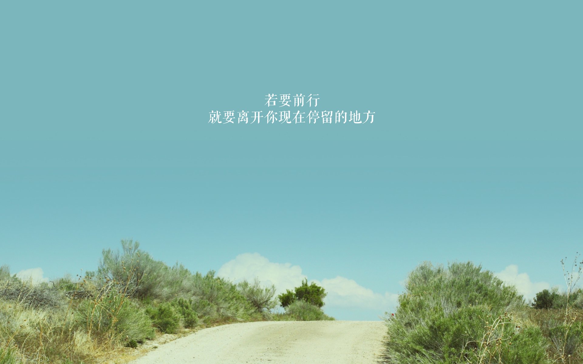 中国足球超级联赛的明星球员盘点，2020赛季中国足协超级联赛前三名