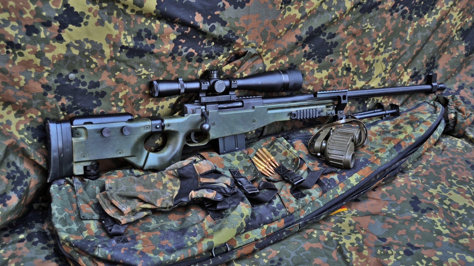 从体育到新领域，惠若琪的成长与挑战，惠若琪训练照片